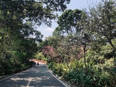-广州市流溪河国家森林公园