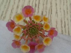 android_upload_pic-春暖花开(西溪店)