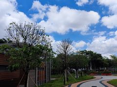 -映月湖公园