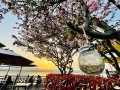 -望海·帆船主题咖啡厅•品茗下午茶(石湖景区店)