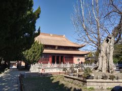 -苏州文庙(姑苏区)