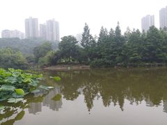 -龙头寺公园