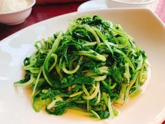 清炒鸡毛菜-集贤门·徽菜(南山店)