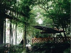 upload_pic-旅马餐厅(茅家埠店)