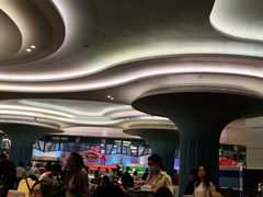 -帝企鹅自助餐厅•儿童岛•真企鹅(长隆企鹅酒店)