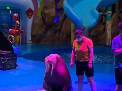 -烟台海昌鲸鲨海洋公园