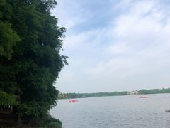 -上海海湾国家森林公园