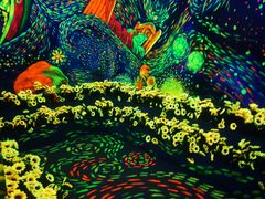 -梵高星空艺术馆(北京旗舰店)