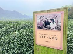 -中国茶叶博物馆(双峰馆区)