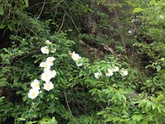 景点-穹窿山景区