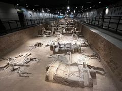 -洛阳周王城天子驾六博物馆