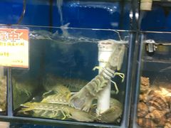 水产区-蚝专家(北滘店)