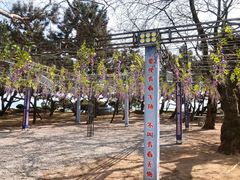 -日照灯塔风景区