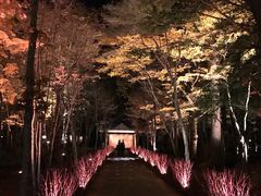 -轻井泽高原教堂