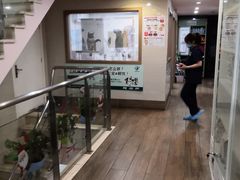 -爱侣·安琦尔宠物医院·中兽医针灸·心内科·狂犬免疫点(宝山区院)