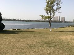 -桐乡凤凰湖