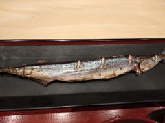 -食其家·牛丼咖喱(太阳宫店)
