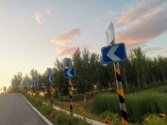 -东郊湿地公园