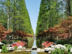 -东平国家森林公园