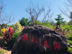 -广州市流溪河国家森林公园