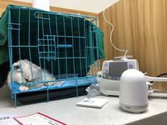 -联合动物医院(光谷诊疗中心)