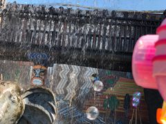 -北京呀路古热带植物园