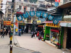 -猫咪博物馆(顶澳仔猫街店)