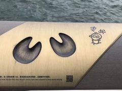 -星光大道