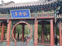-晋祠公园