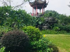 -顺峰山公园