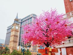 -澳门威尼斯人综合度假区