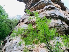 -孤山寨风景区