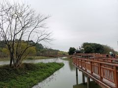 -广东花都湖国家湿地公园