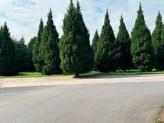 -秦始皇帝陵博物院-丽山园