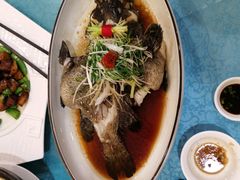 -御唐府海珊瑚主题餐厅