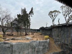 -武汉动物园