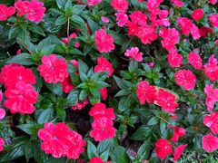 -人民公园(罗湖区)