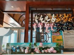 -童趣廊·儿童波波池·海洋球(长隆横琴湾酒店)