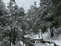 景点-九华山风景区