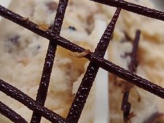 -sugarman espresso素饮糖人高新咖啡工厂