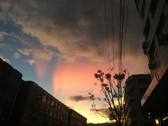 -CoCo都可(虹口龙之梦店)