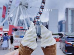-富豪雪糕车流动点(尖沙咀店)