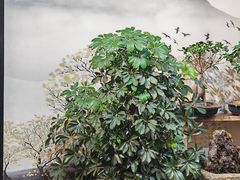 -蘇河湾·新鲁菜·泰山宴老店