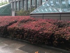 -黔香阁·味(花木店)