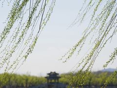 -颐和园