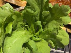 茼蒿-王家渡火锅店(亦庄店)