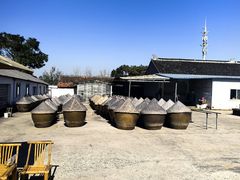 -苏州市吴中区光福窑上花果蜜饯厂