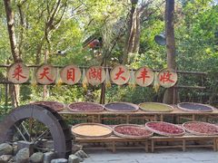 -天目湖山水园