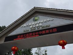 -中国大熊猫保护研究中心雅安碧峰峡基地