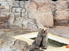 -珠海长隆海洋王国